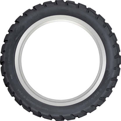 Dunlop  Raid Tire